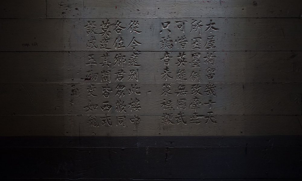 The Meaning of Alienage for Wong Kim Ark